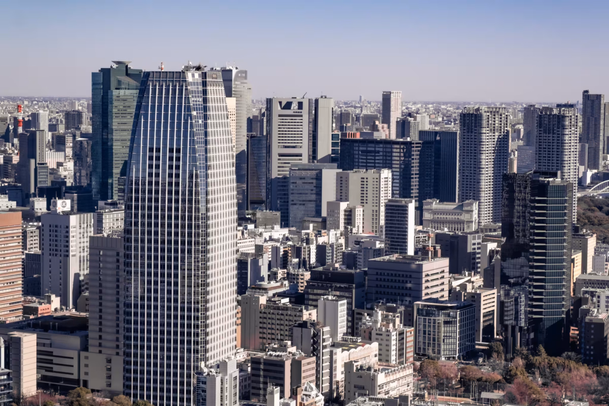The skyscrapers and concrete buildings stretch to the horizon.