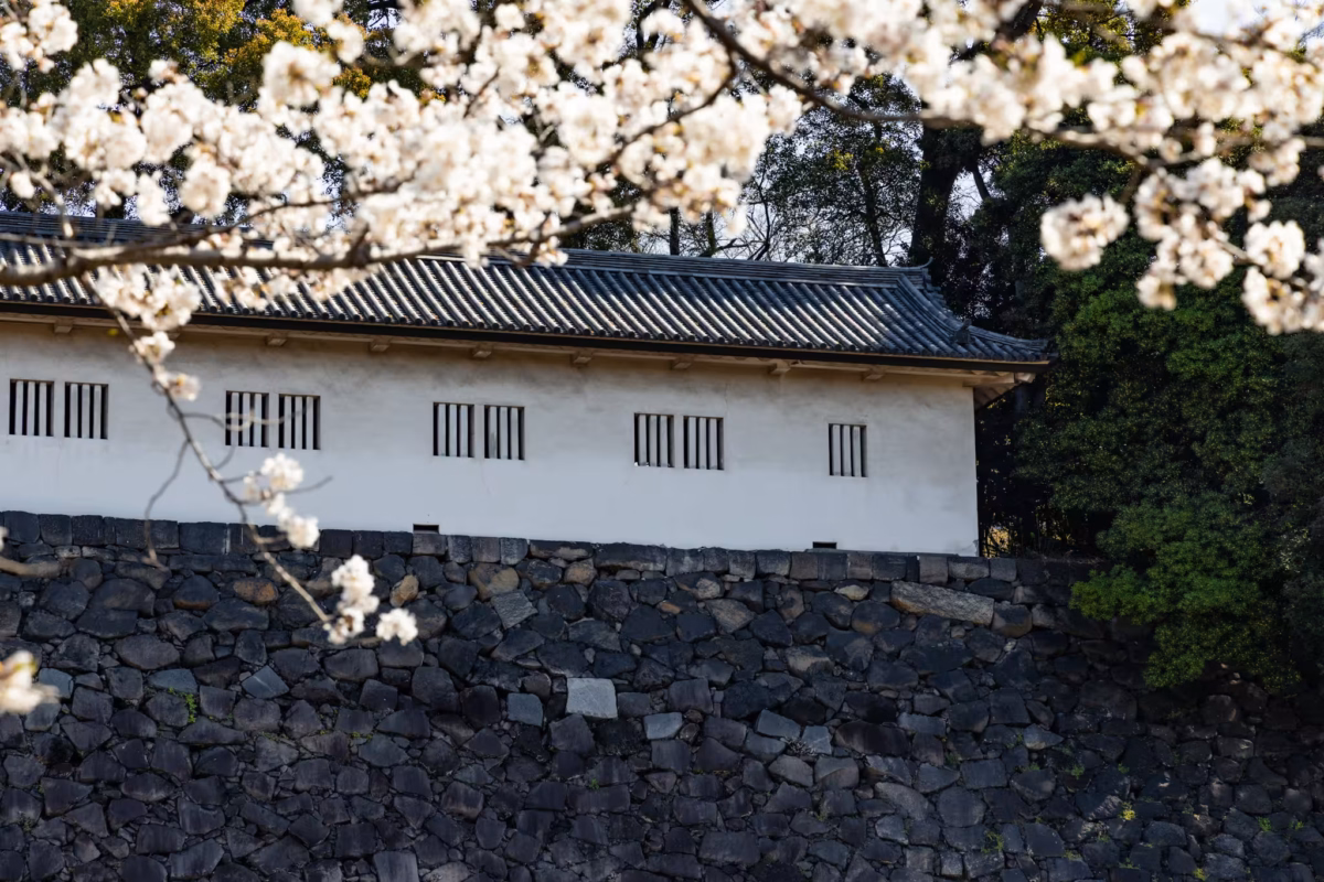 The Tamon Defense Tower sits on a stone wall behind blurred cherry blossoms.