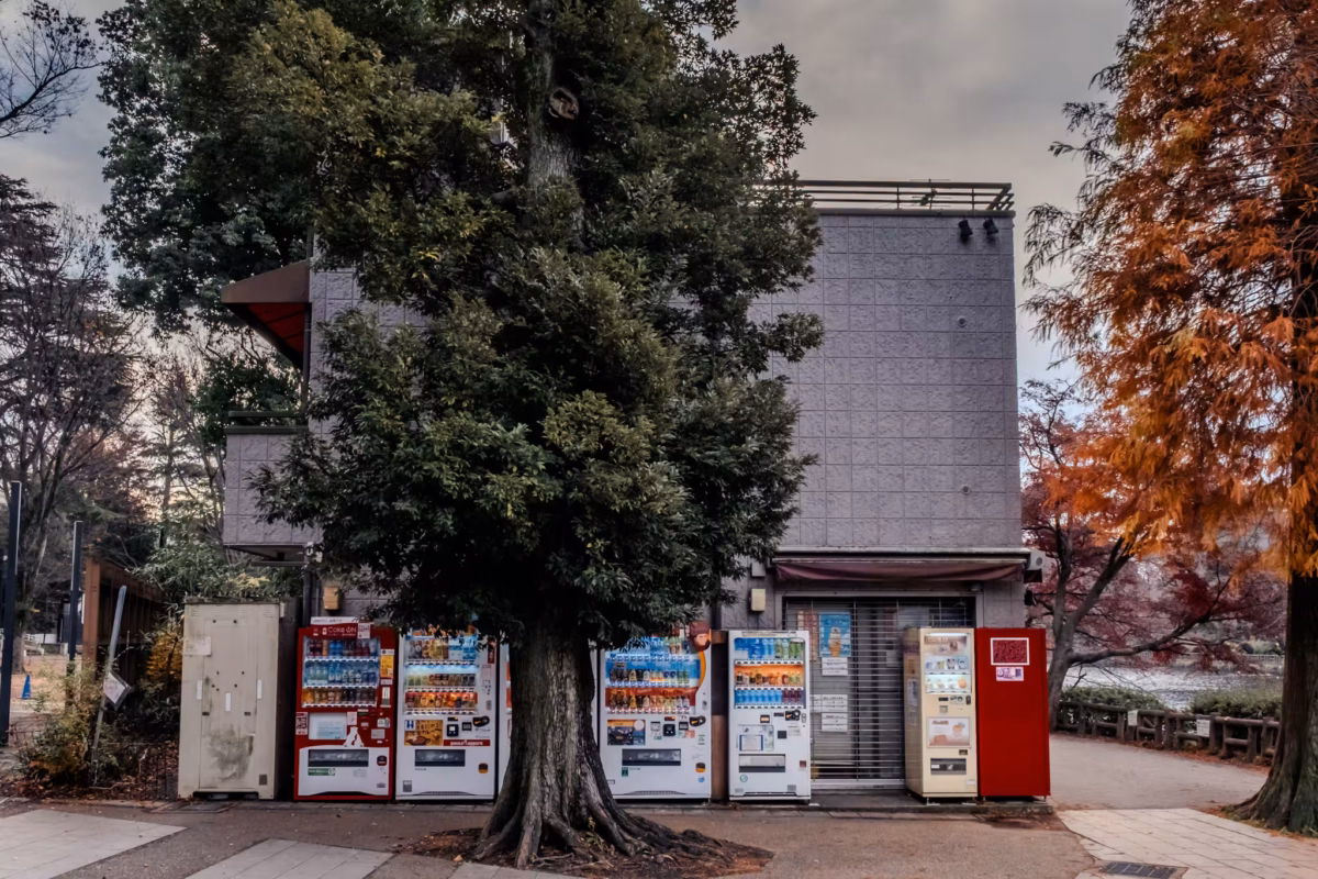 Vending machines sit next to a kiosk in a park.