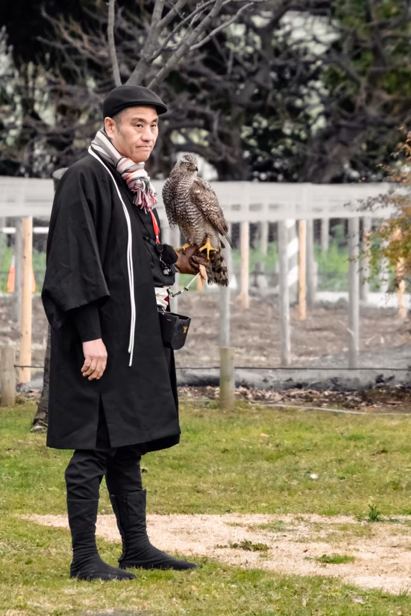 A falconer in black clothes and cap stands with a bird upon his wrist.