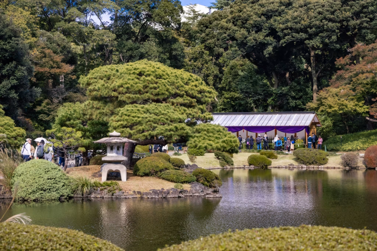 A pond and a stone lantern in front of people looking at a chrysanthemum display booth.
