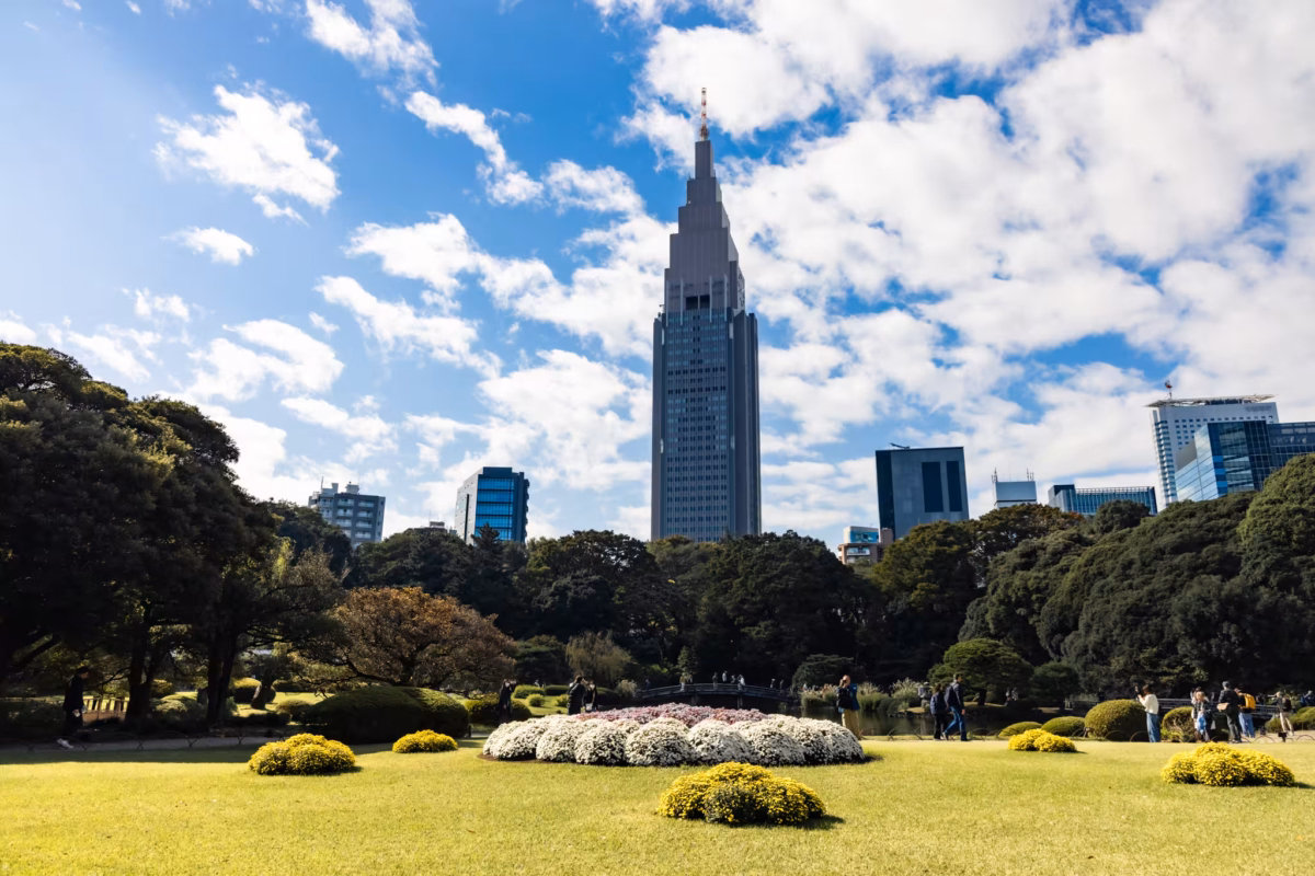 Yoyogi NTT DOCOMO skyscrapers towers over an outdoor Shinjuku Gyoen chrysanthemum display.