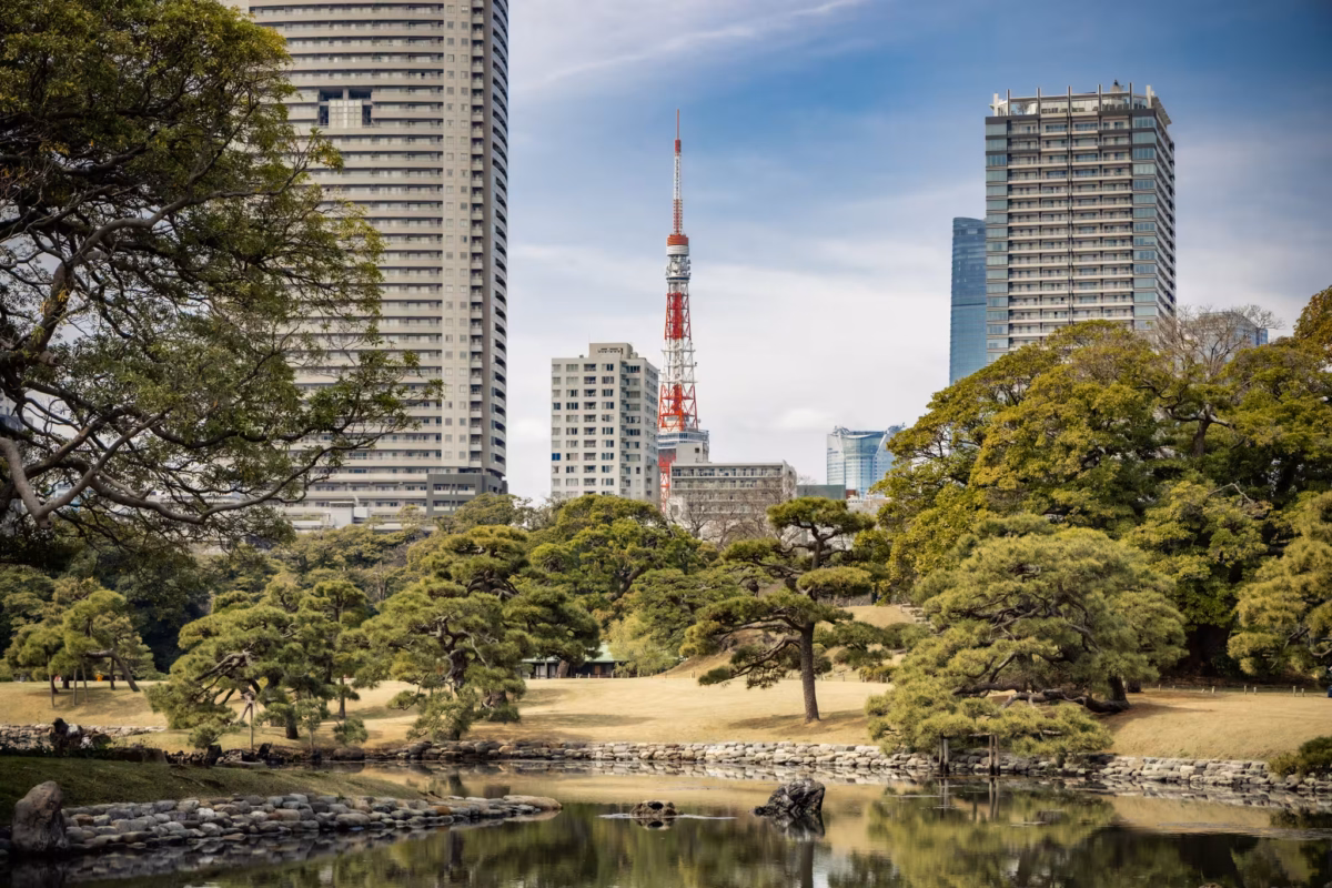 Tokyo Tower sits beyond Hamarikyu Gardens between skyscrapers.