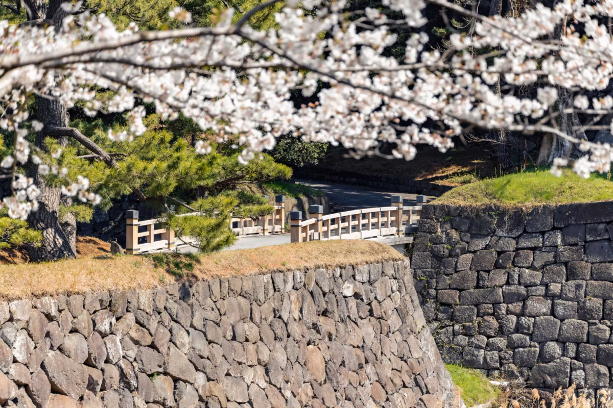 A wooden bridge spans a gap between two stone walls.