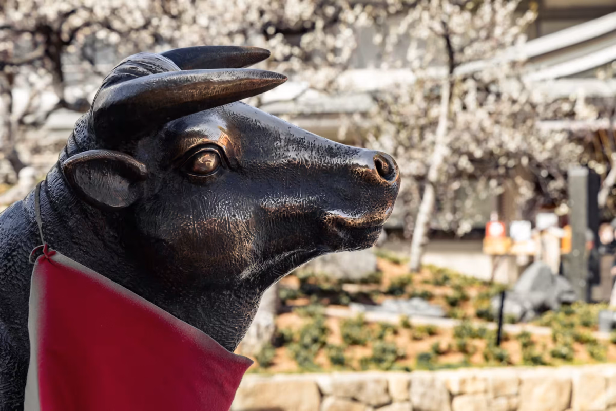 A bronze bull statue with a red bib against a blurred background.