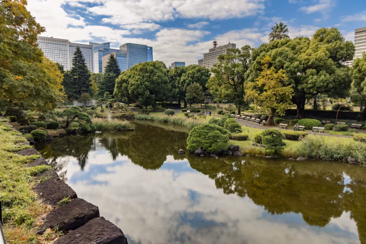 A pond in park on a cloudy day.