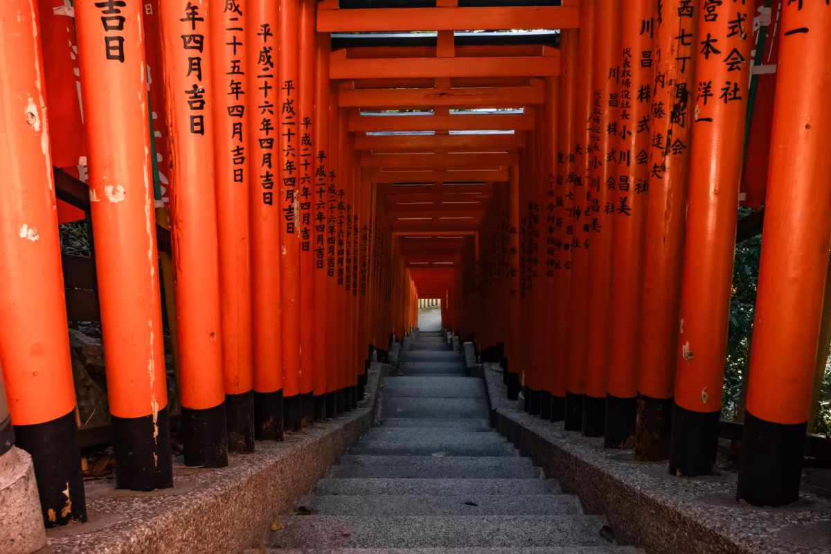 A downward view of stone stairs lined with a dense tunnel of vibrant red torii gates at Hie Shrine in Tokyo