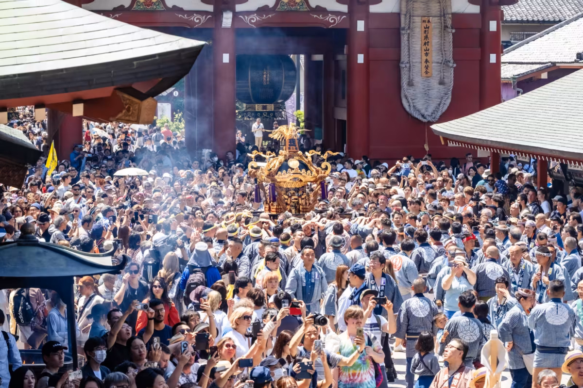 A golden mikoshi shrine carried through a dense crowd during the Sanja Matsuri at Senso-ji Temple in Asakusa, Tokyo.