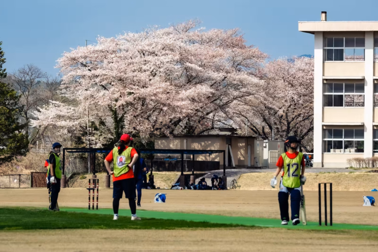 Players on a sunny field during a Japanese women’s cricket match with cherry blossoms in the background.