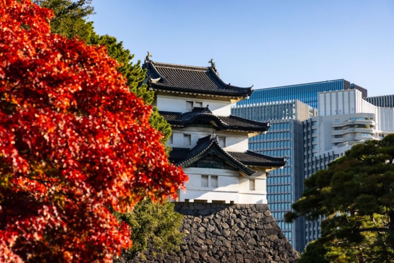 Red maple leaves frame a traditional Japanese castle turret, contrasting with modern skyscrapers in the background.
