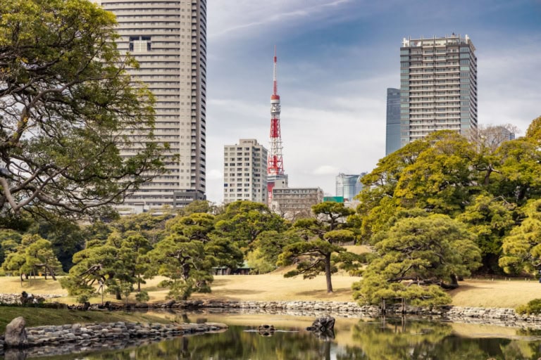 Tokyo Tower and skyscrapers rise behind the manicured pine trees and reflective pond of historic Hamarikyu Gardens.
