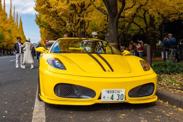 Yellow Ferrari parked along a street lined with golden ginkgo trees in peak autumn color.