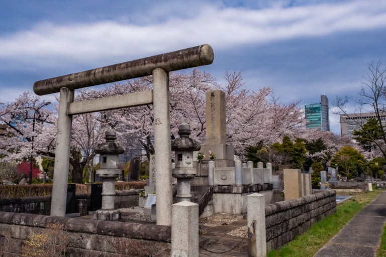Stone torii gate and lanterns framed by cherry blossoms in a cemetery, with modern city skyscrapers in the distance.
