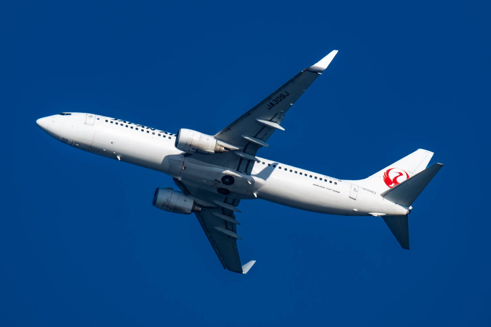 A Japan Airlines Boeing 737-800 (JA309J) soaring through a clear, deep blue sky.