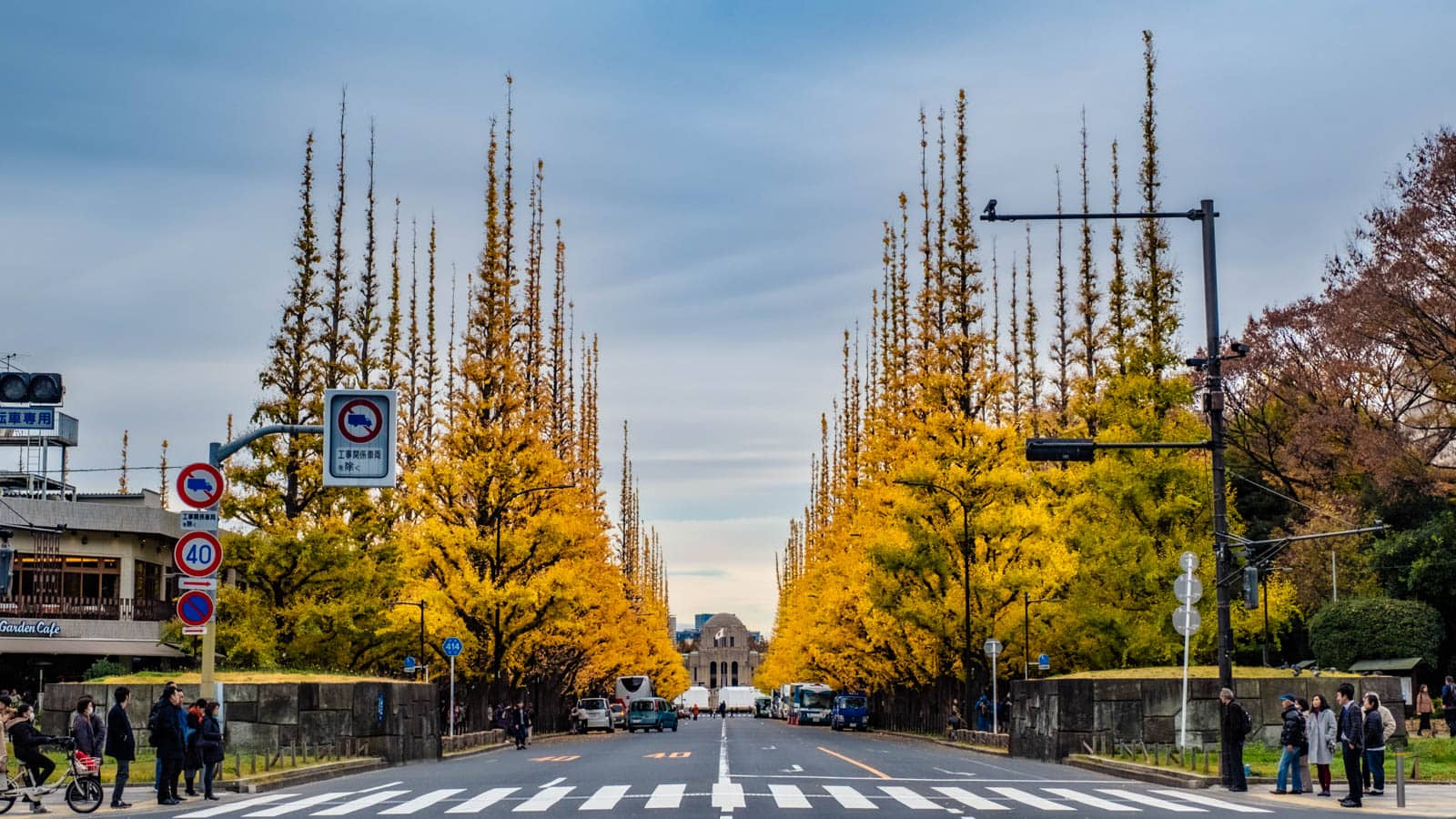 Two rows of ginkgo trees line a Tokyo street, forming a golden tunnel toward the Meiji Jingu Gaien Ginkgo Avenue under a blue sky.