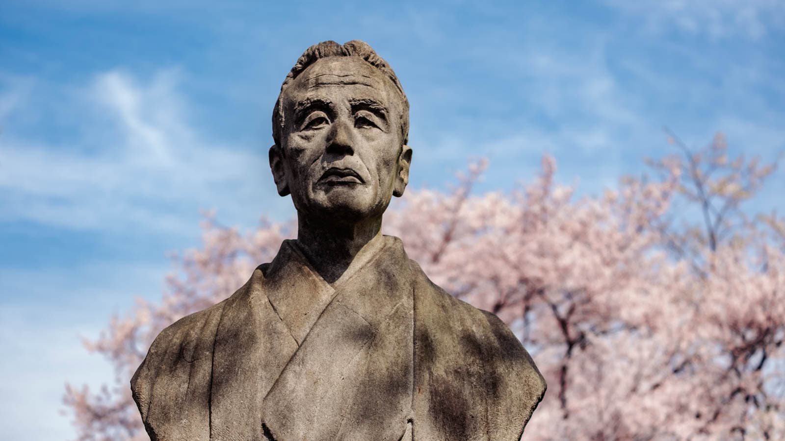 A stone bust of a man with blooming Aoyama Cemetery cherry blossoms and a blue sky in the background.