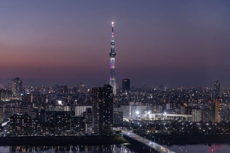 Elevated night view of Tokyo featuring the illuminated Skytree tower rising above a vast urban skyline and river.