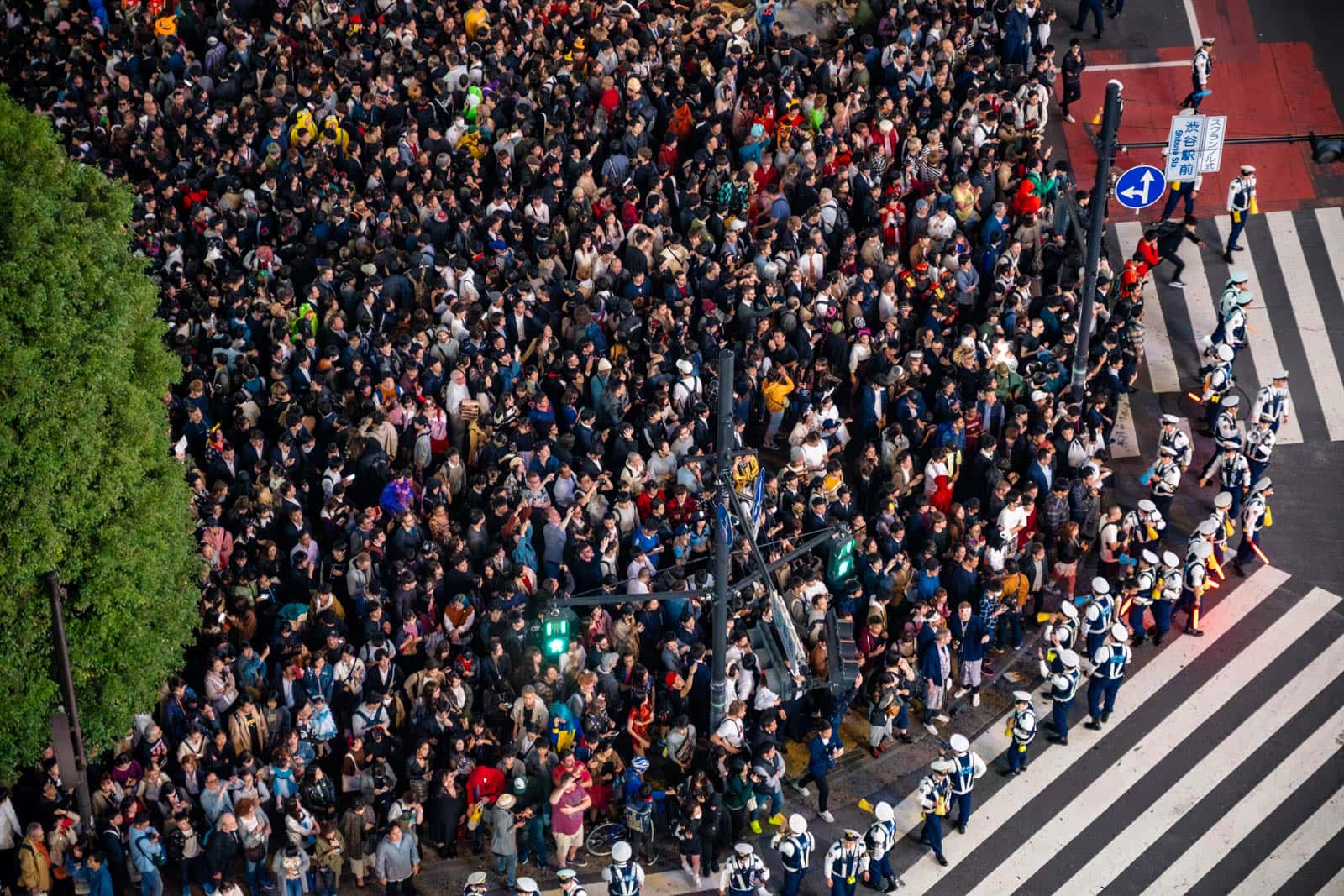 Massive Halloween crowds and police officers at Shibuya Scramble Crossing.