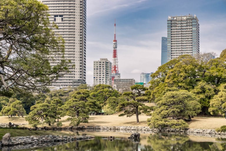 Tokyo Tower and skyscrapers rise behind the manicured pine trees and reflective pond of historic Hamarikyu Gardens.